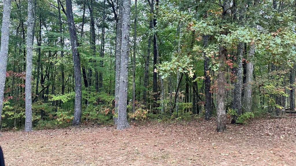 1.81 AC Nature Valley Trail, Murphy NC 28906 - Photo