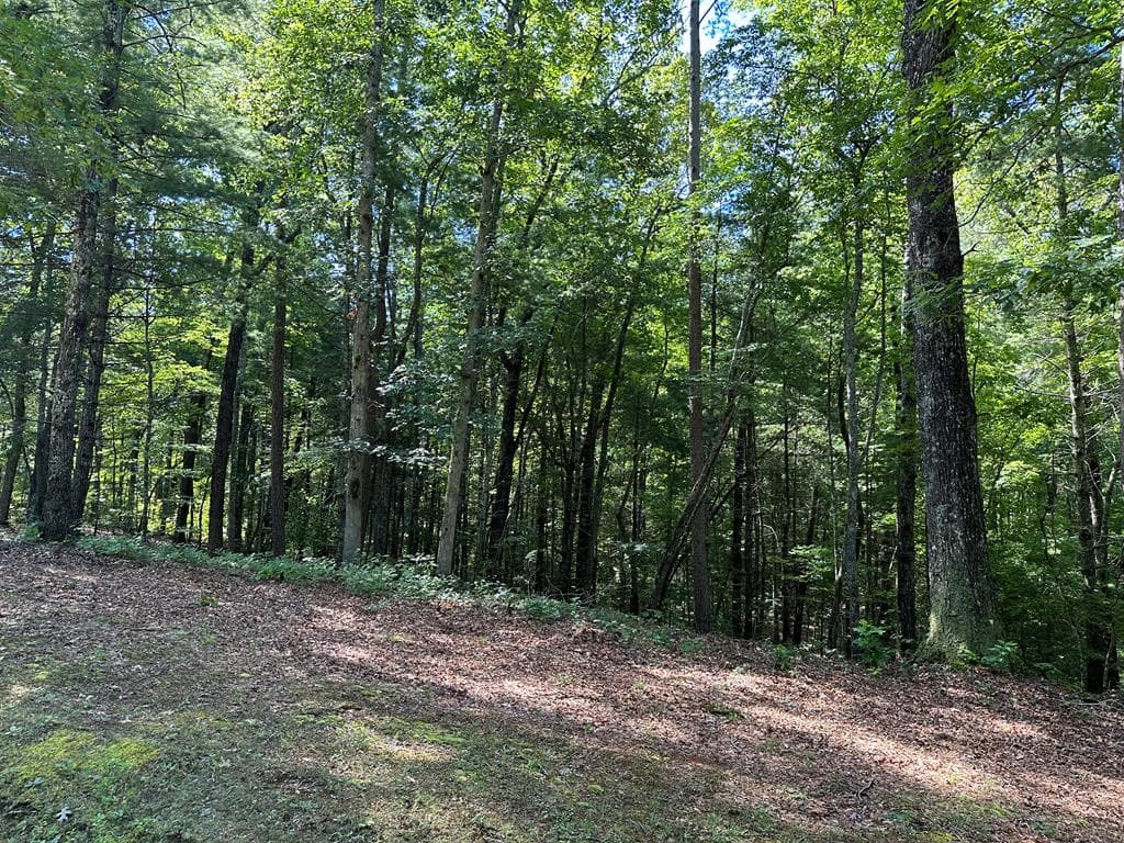 1.81 AC Nature Valley Trail, Murphy NC 28906 - Photo