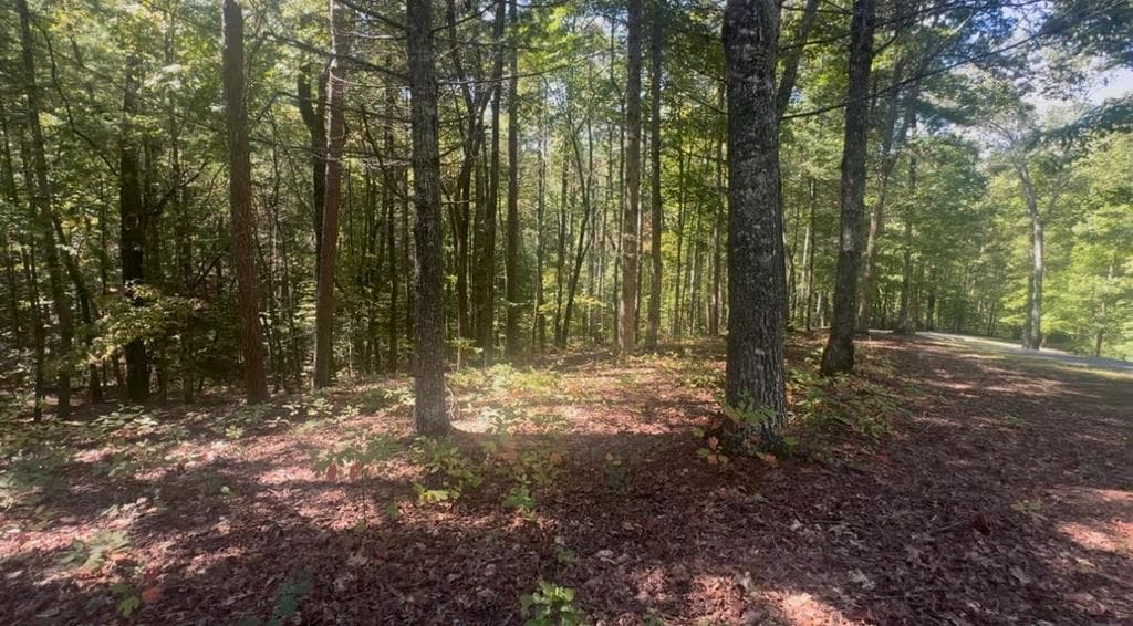 1.81 AC Nature Valley Trail, Murphy NC 28906 - Primary photo