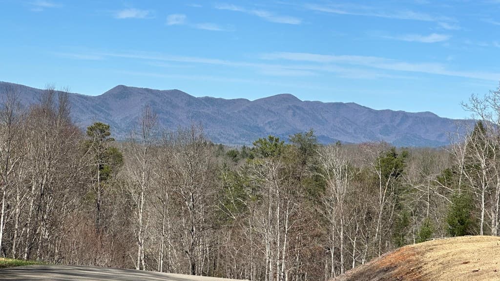 1.81 AC Nature Valley Trail, Murphy NC 28906 - Photo