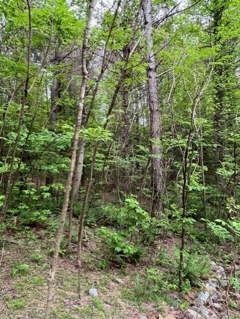 Lot 60 Cartecay View Lane, Ellijay GA 30536 - Photo