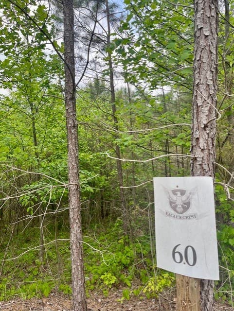 Lot 60 Cartecay View Lane, Ellijay GA 30536 - Photo