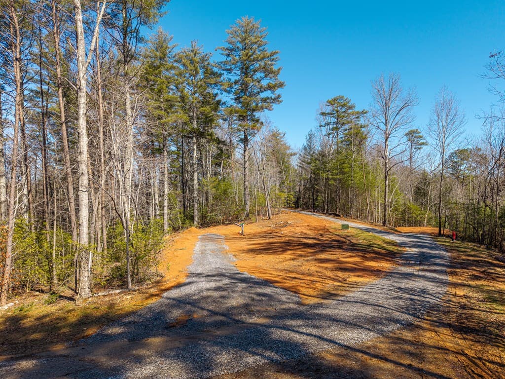 77 Big Pine Hill, Blairsville GA 30512 - Photo