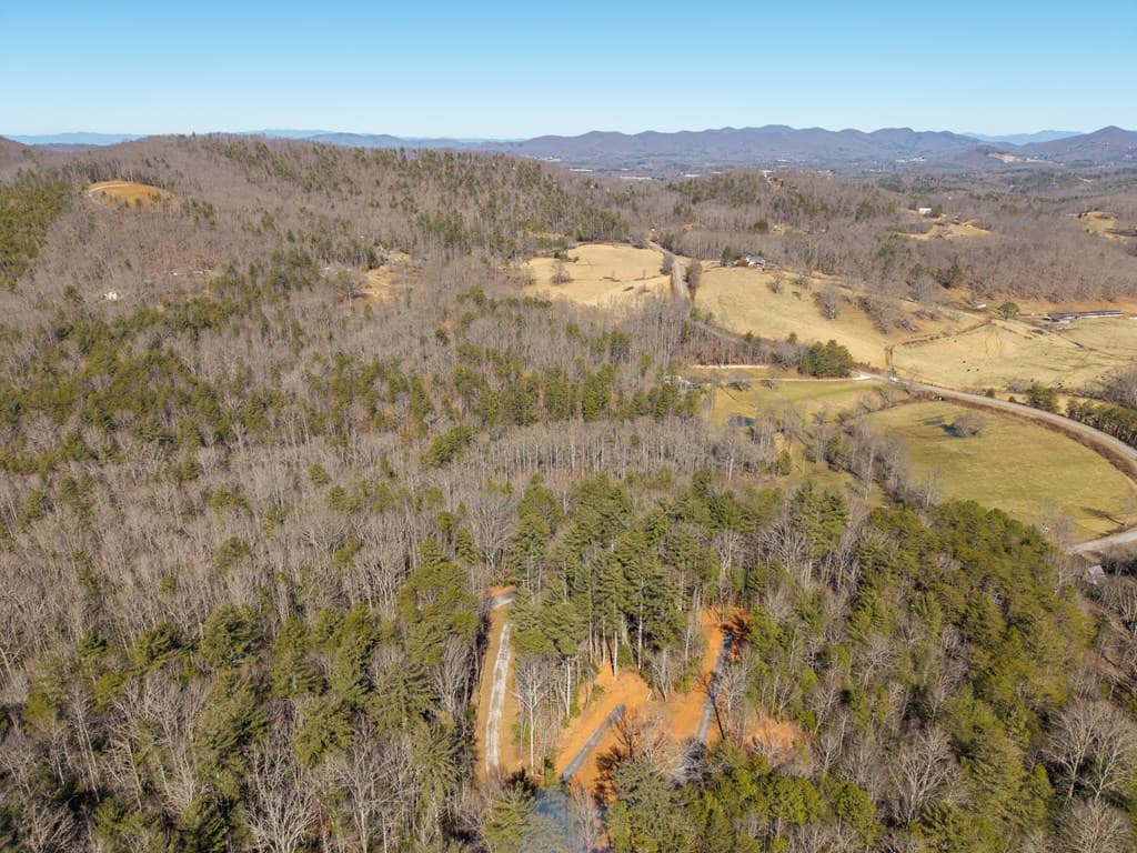 77 Big Pine Hill, Blairsville GA 30512 - Photo