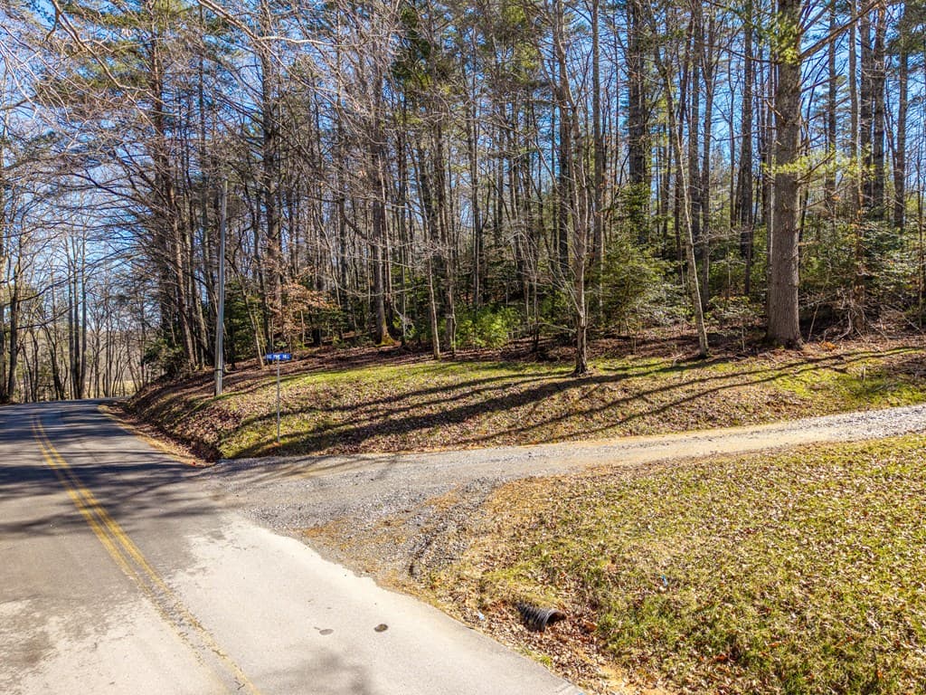 77 Big Pine Hill, Blairsville GA 30512 - Photo