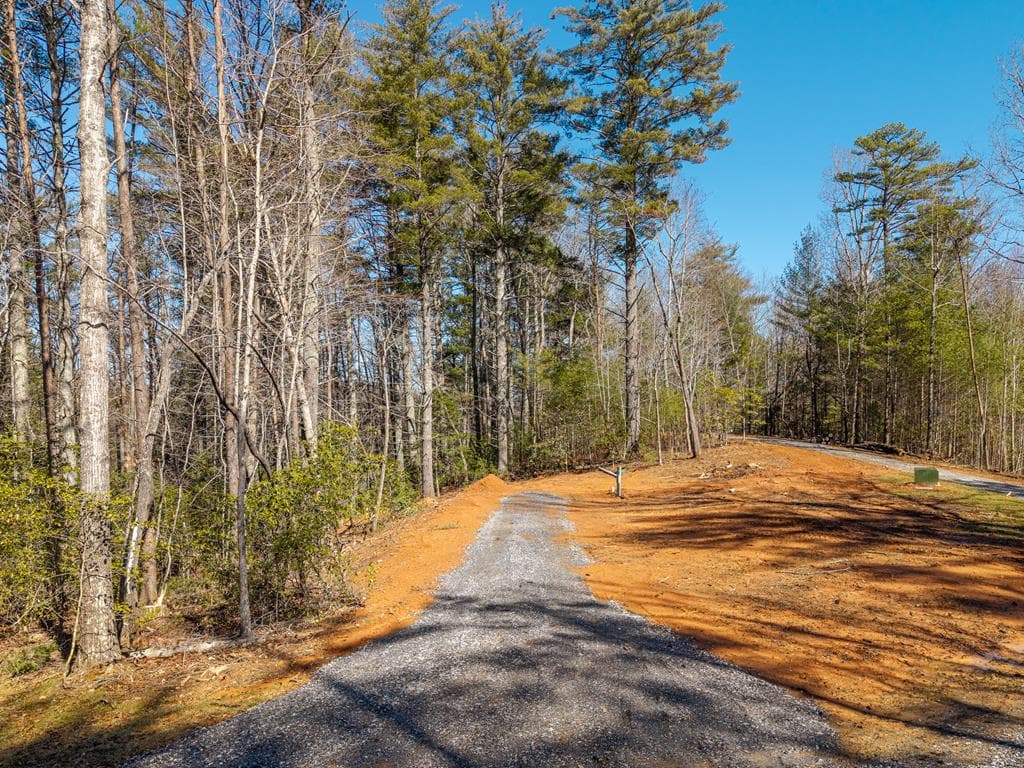 77 Big Pine Hill, Blairsville GA 30512 - Primary photo