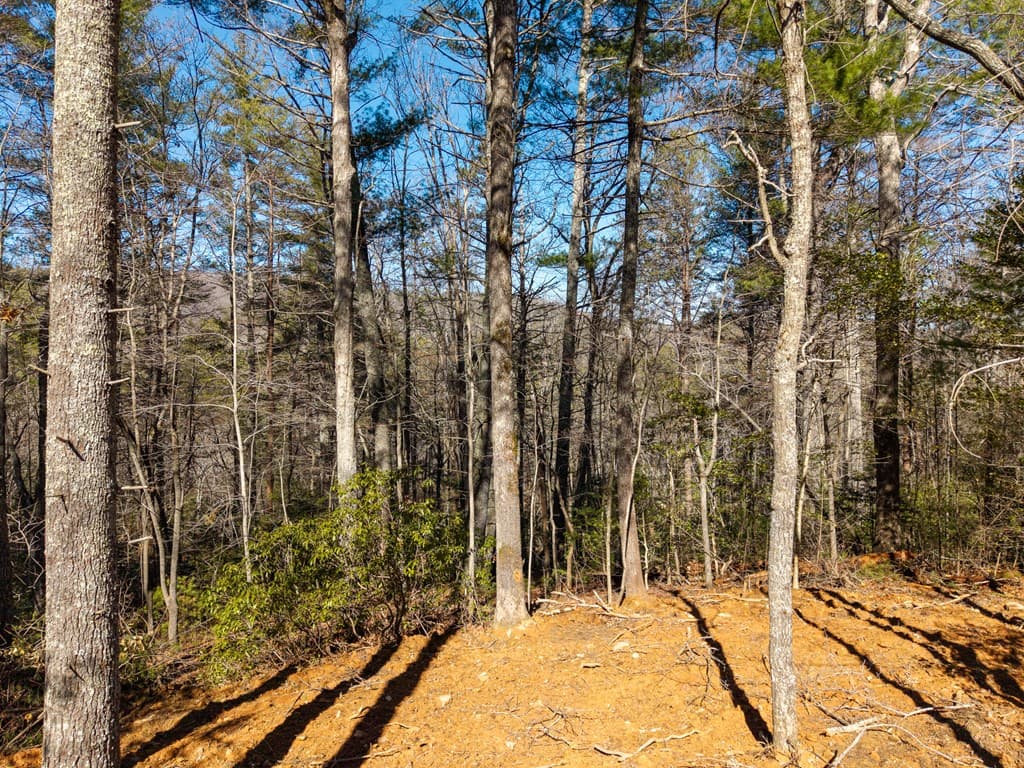 77 Big Pine Hill, Blairsville GA 30512 - Photo