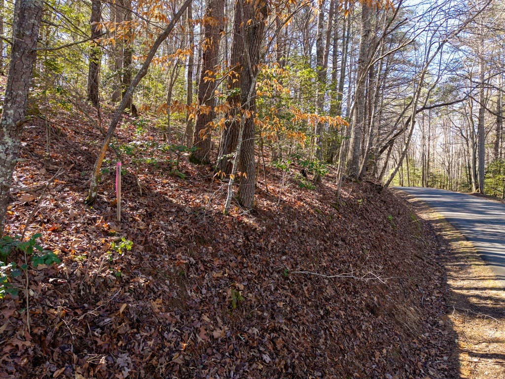 77 Big Pine Hill, Blairsville GA 30512 - Photo