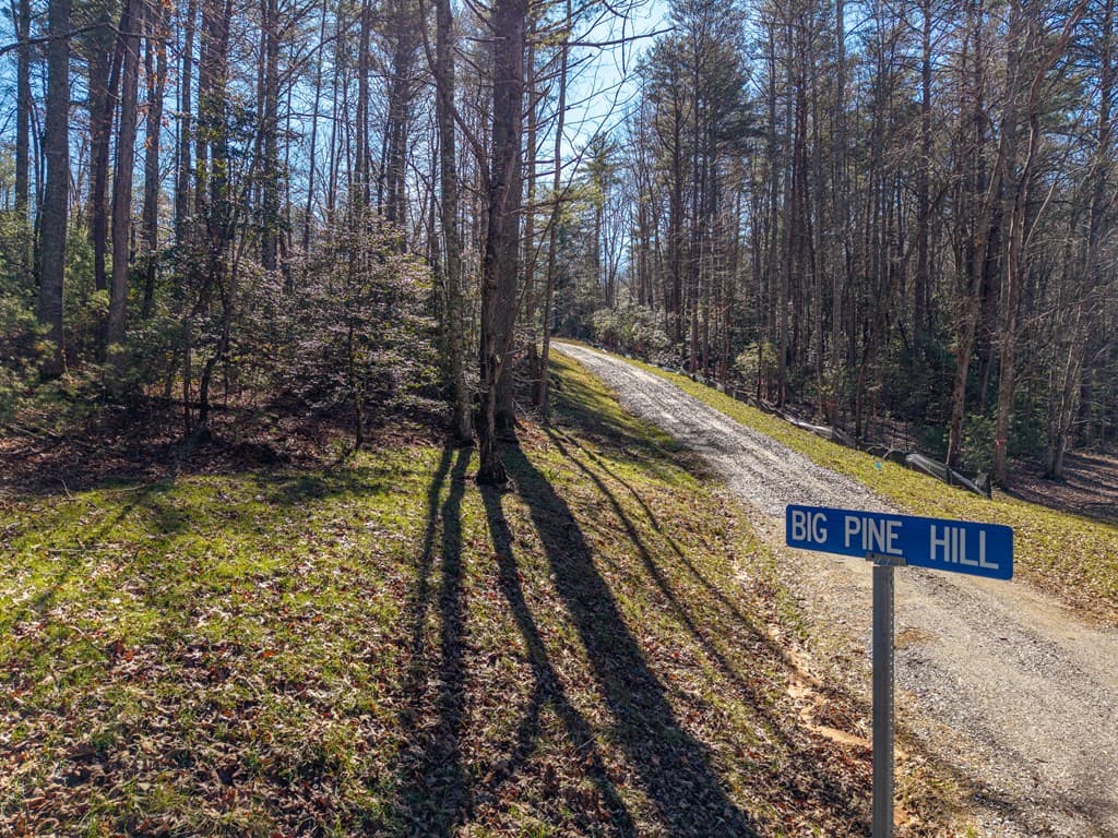 77 Big Pine Hill, Blairsville GA 30512 - Photo