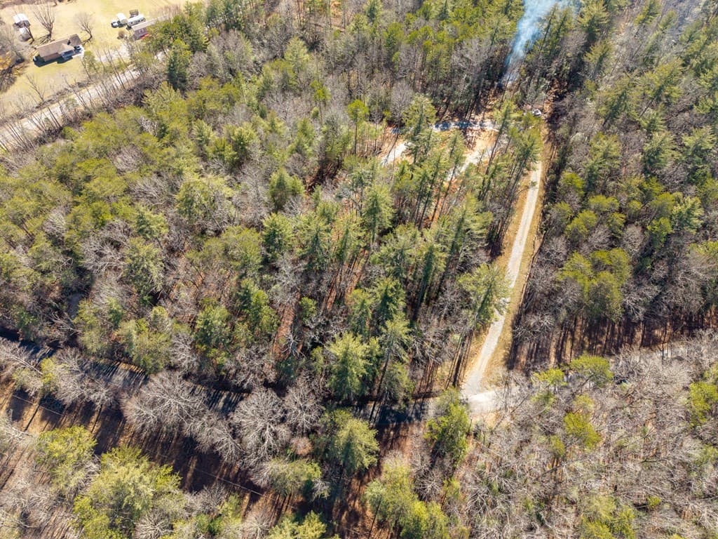 77 Big Pine Hill, Blairsville GA 30512 - Photo