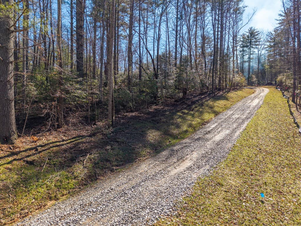 77 Big Pine Hill, Blairsville GA 30512 - Photo