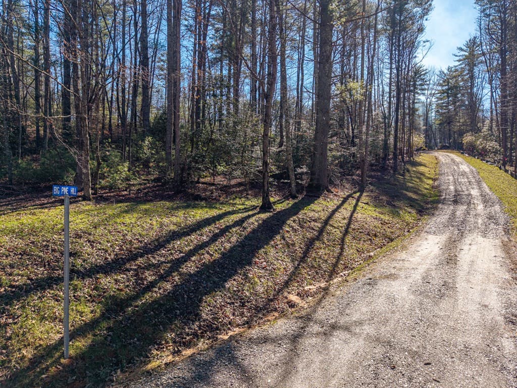 77 Big Pine Hill, Blairsville GA 30512 - Photo