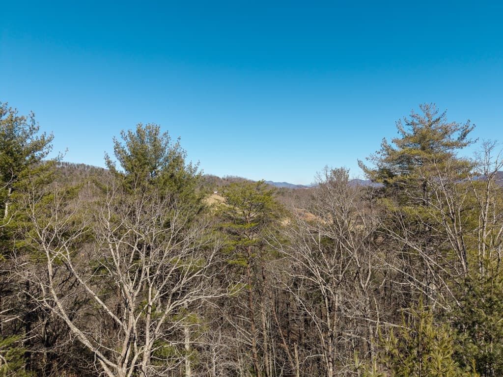 77 Big Pine Hill, Blairsville GA 30512 - Photo