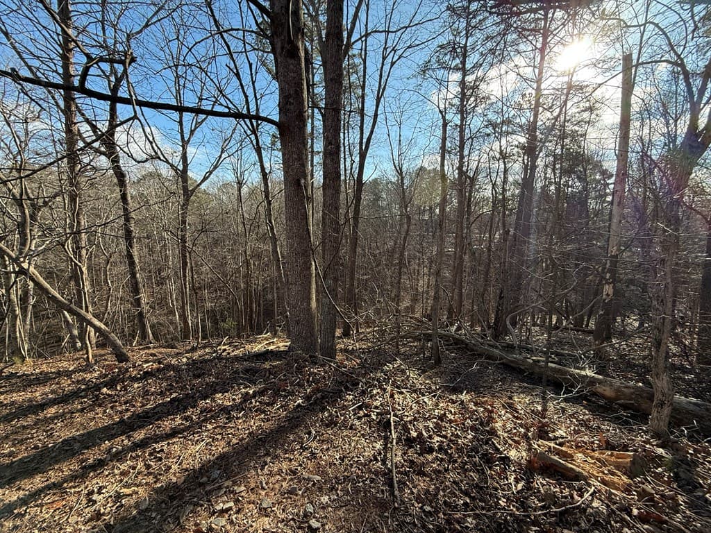 715/716 Hilary Court, Ellijay GA 30540 - Photo