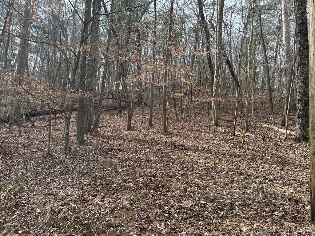 715/716 Hilary Court, Ellijay GA 30540 - Photo