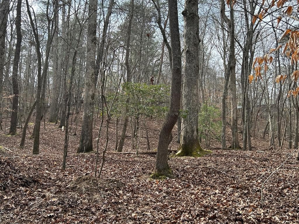 715/716 Hilary Court, Ellijay GA 30540 - Photo