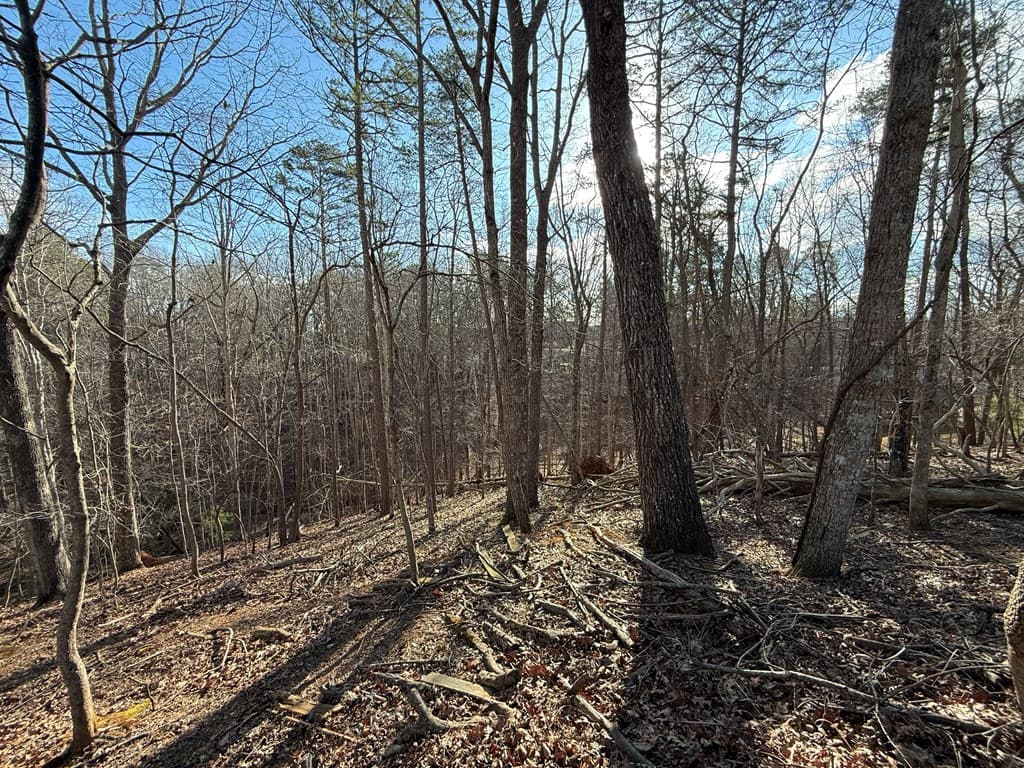 715/716 Hilary Court, Ellijay GA 30540 - Photo