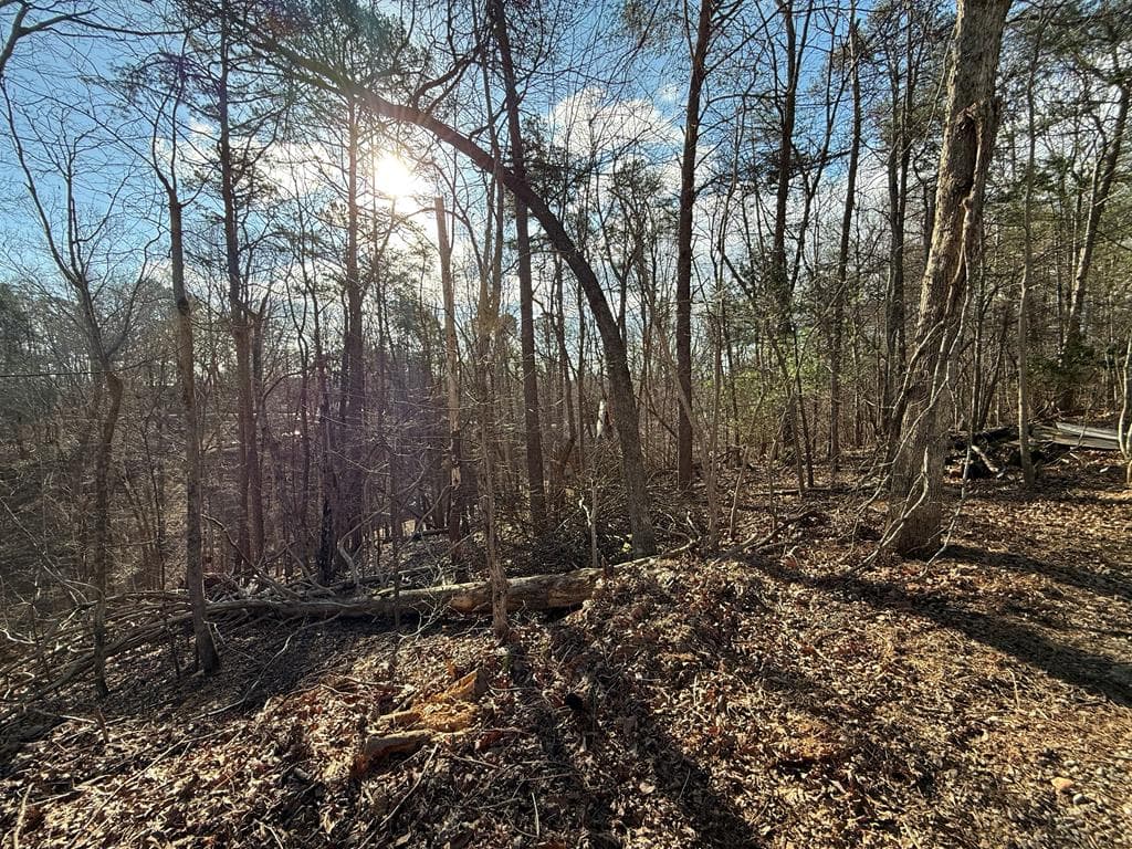 715/716 Hilary Court, Ellijay GA 30540 - Primary photo