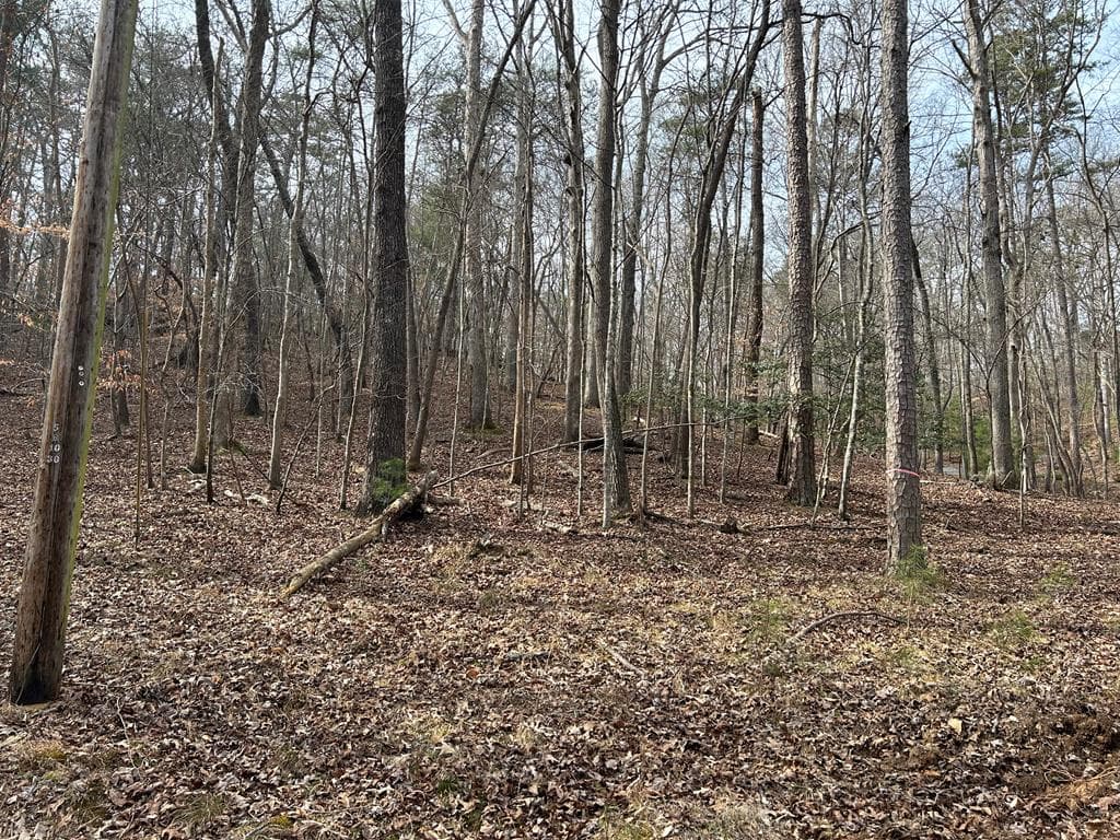 715/716 Hilary Court, Ellijay GA 30540 - Photo