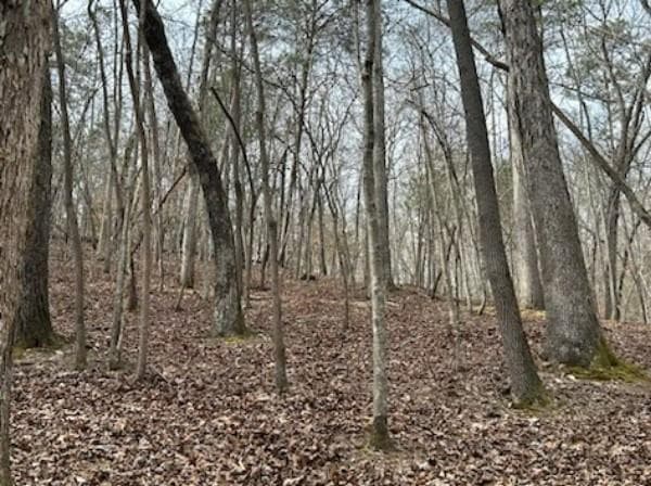715/716 Hilary Court, Ellijay GA 30540 - Photo