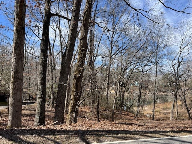 00 Old Hwy 64e, Hayesville NC 28904 - Photo