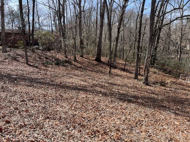 00 Old Hwy 64e, Hayesville NC 28904 - Photo