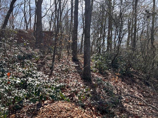 00 Old Hwy 64e, Hayesville NC 28904 - Photo