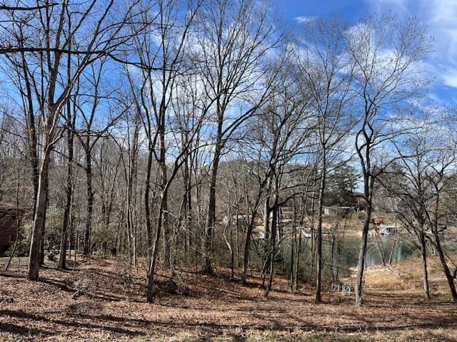 00 Old Hwy 64e, Hayesville NC 28904 - Photo