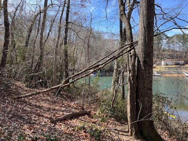 00 Old Hwy 64e, Hayesville NC 28904 - Photo