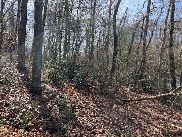 00 Old Hwy 64e, Hayesville NC 28904 - Photo