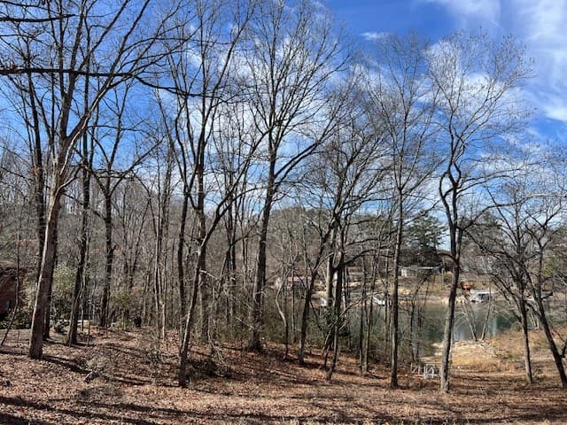 00 Old Hwy 64e, Hayesville NC 28904 - Photo