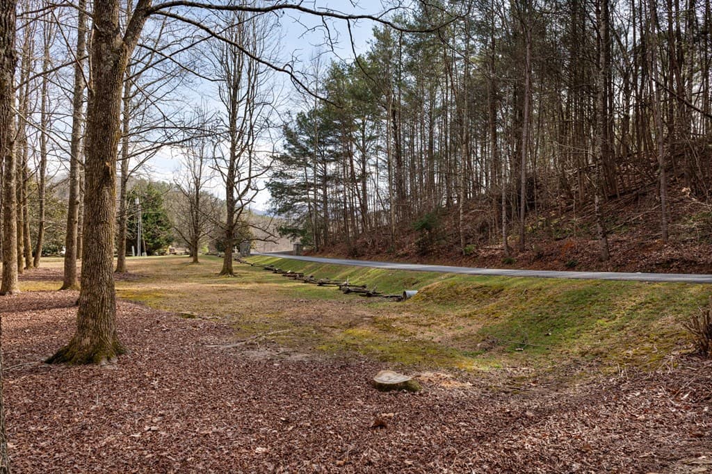 105 River Road, Cherry Log GA 30522 - Photo