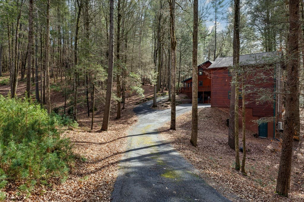 105 River Road, Cherry Log GA 30522 - Photo