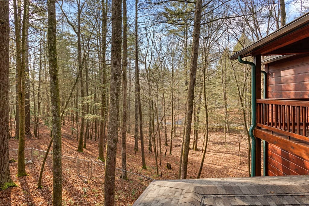 105 River Road, Cherry Log GA 30522 - Photo