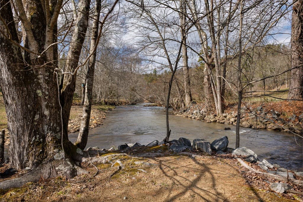 105 River Road, Cherry Log GA 30522 - Photo