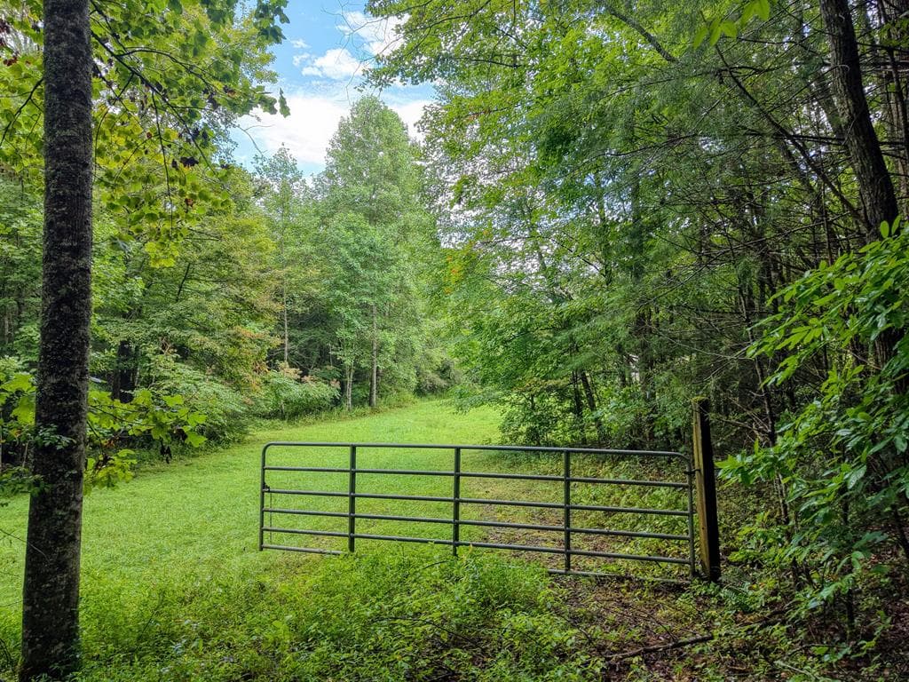 580 Emmaus Road, Epworth GA 30541 - Photo