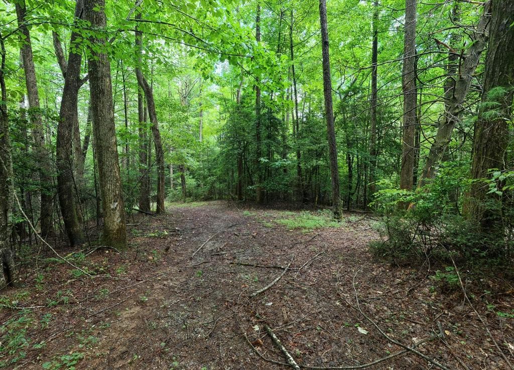 580 Emmaus Road, Epworth GA 30541 - Photo