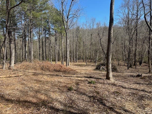 Lot 16 Bravo Way, Talking Rock GA 30175 - Photo