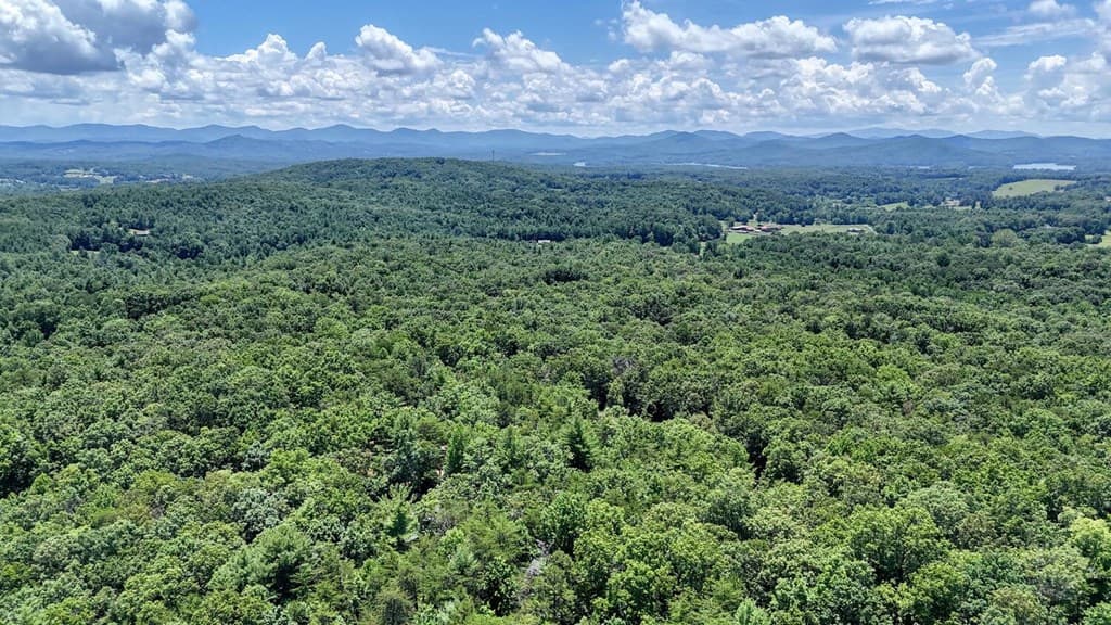 885 Tomahawk Trail, Blairsville GA 30512 - Photo