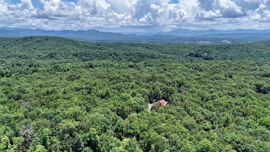 885 Tomahawk Trail, Blairsville GA 30512 - Photo