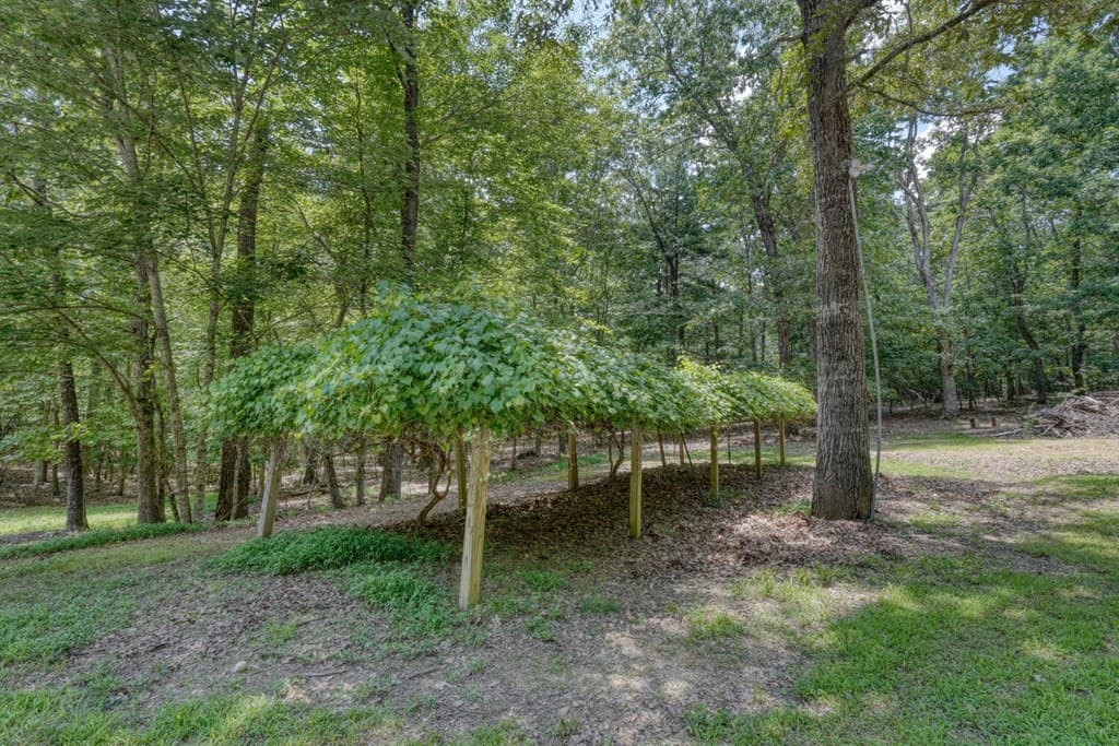 885 Tomahawk Trail, Blairsville GA 30512 - Photo