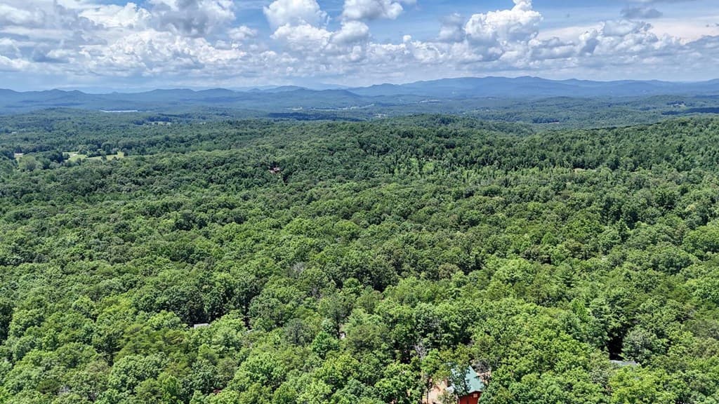 885 Tomahawk Trail, Blairsville GA 30512 - Photo
