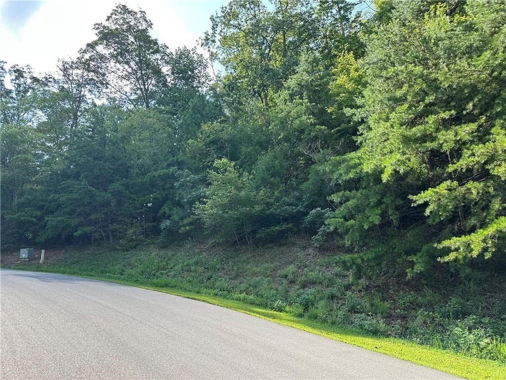 257 Andes Ridge, Jasper GA 30143 - Photo