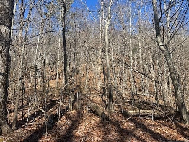 257 Andes Ridge, Jasper GA 30143 - Photo