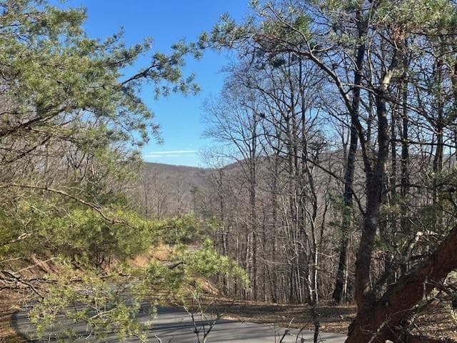 257 Andes Ridge, Jasper GA 30143 - Primary photo