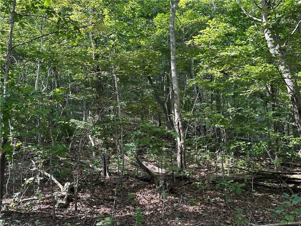 257 Andes Ridge, Jasper GA 30143 - Photo