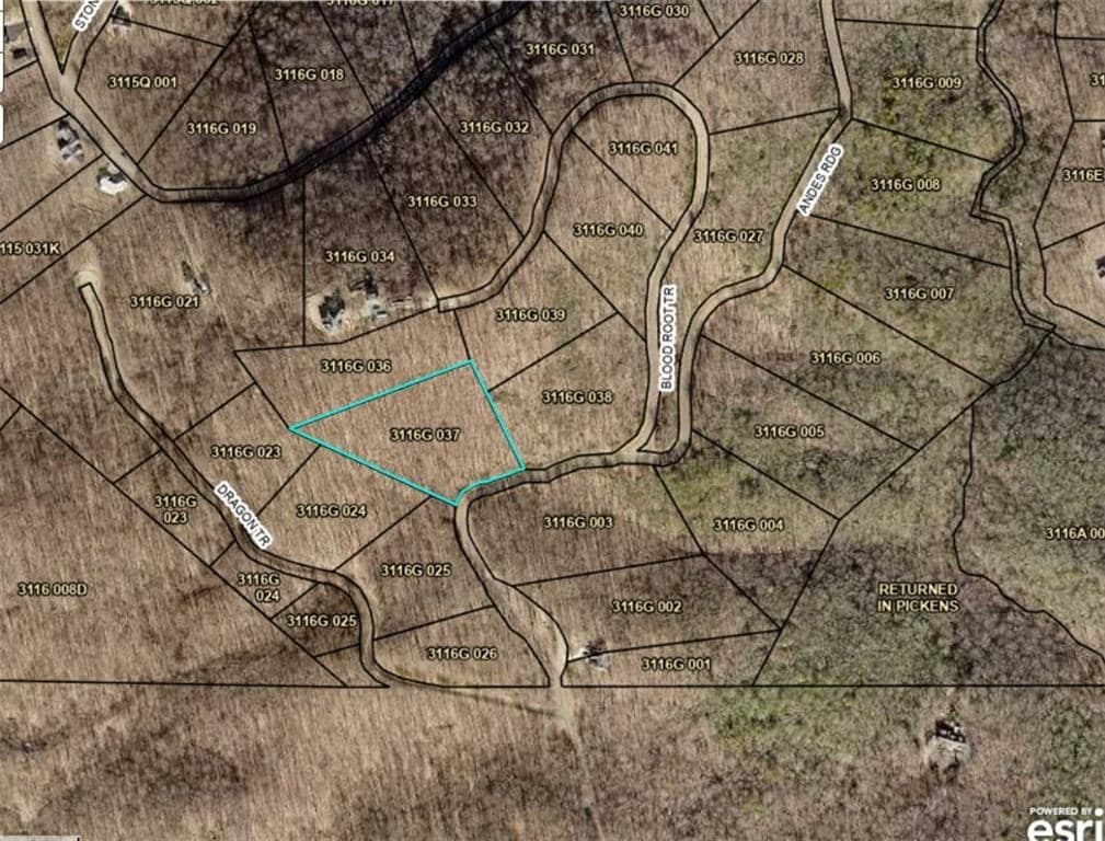 257 Andes Ridge, Jasper GA 30143 - Photo
