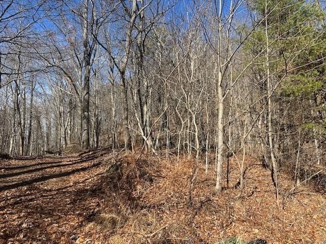257 Andes Ridge, Jasper GA 30143 - Photo