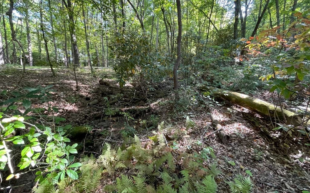 Lot 22 High Meadows, Hayesville NC 28904 - Photo