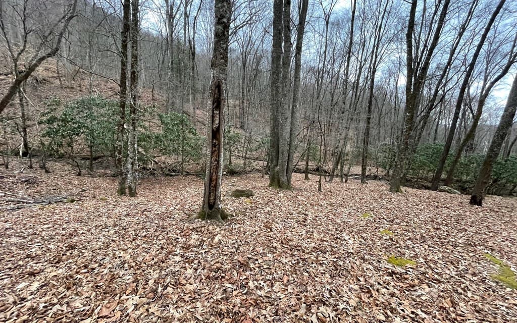 Lot 22 High Meadows, Hayesville NC 28904 - Photo
